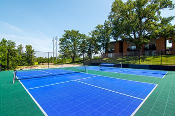 New sports court - pickleball, basketball, & tennis